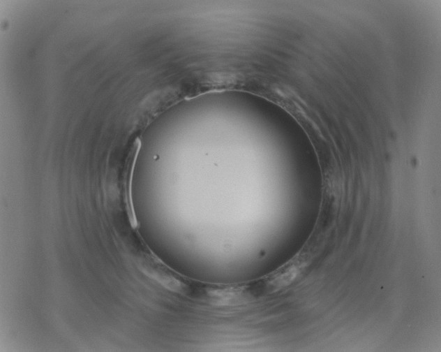 X0000074300516200609081920