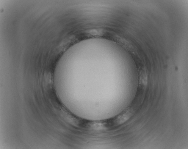 X0000074300518200609081920