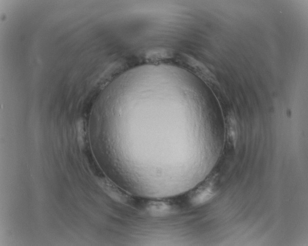 X0000074300519200609081920