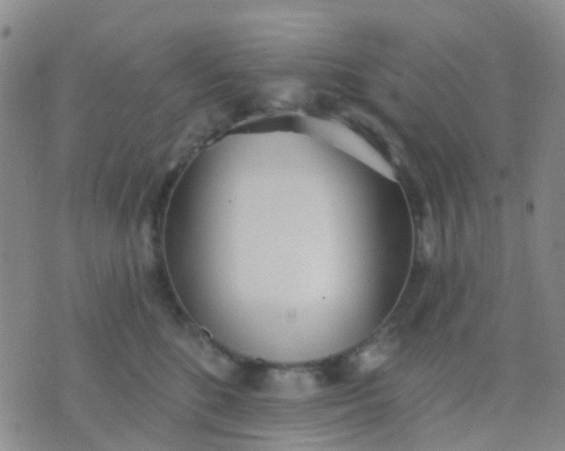 X0000074300520200609081920