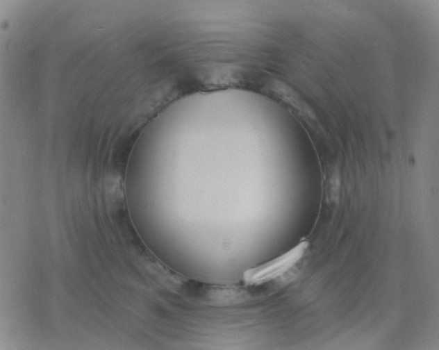 X0000074300521200609081920