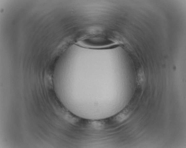 X0000074300522200609081920