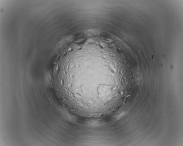 X0000074300523200609081920