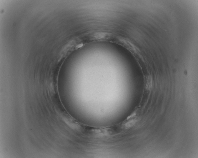 X0000074300524200609081920