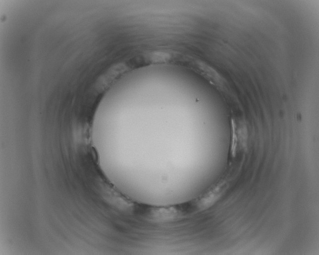 X0000074300525200609081920