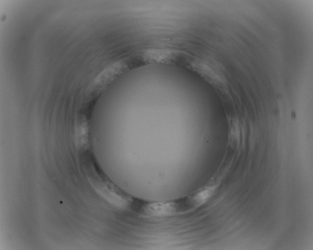 X0000074300526200609081920