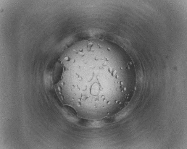 X0000074300527200609081920