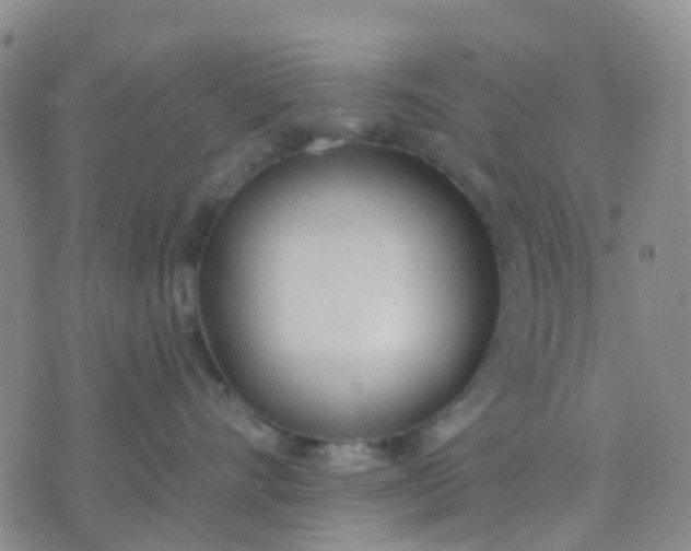 X0000074300528200609081920