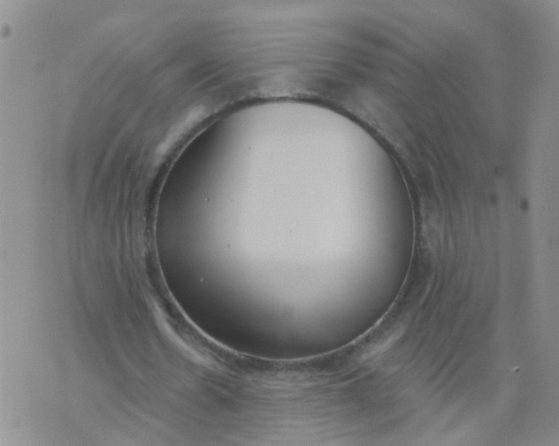 X0000074300530200609081919