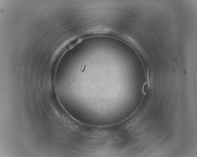 X0000074300531200609081919