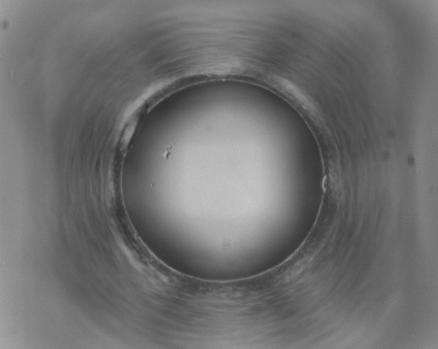 X0000074300532200609081919