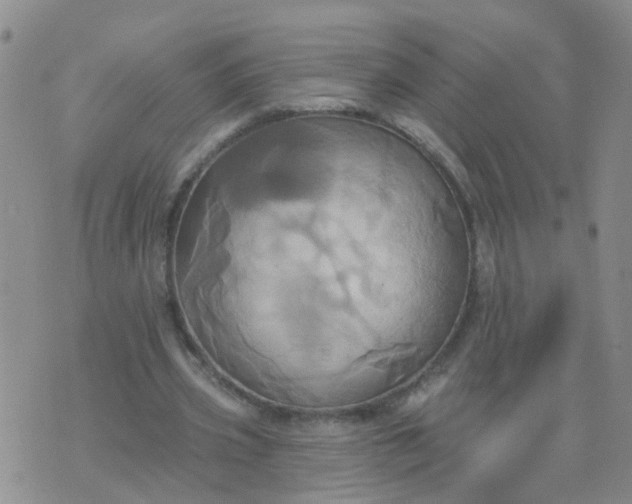 X0000074300533200609081919