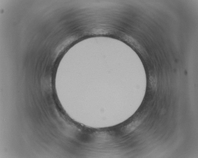 X0000074300534200609081919