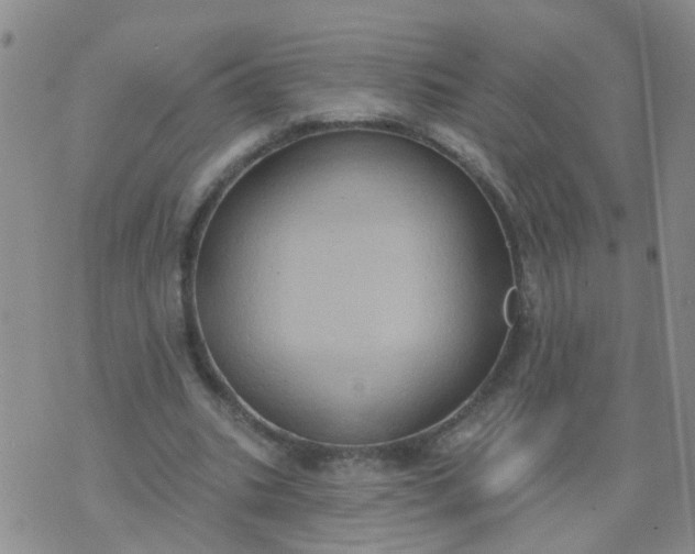 X0000074300535200609081919