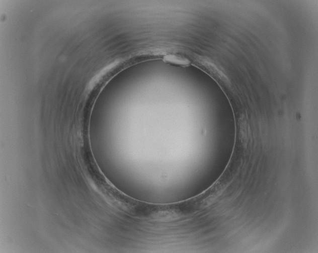 X0000074300536200609081919