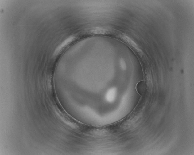 X0000074300537200609081919