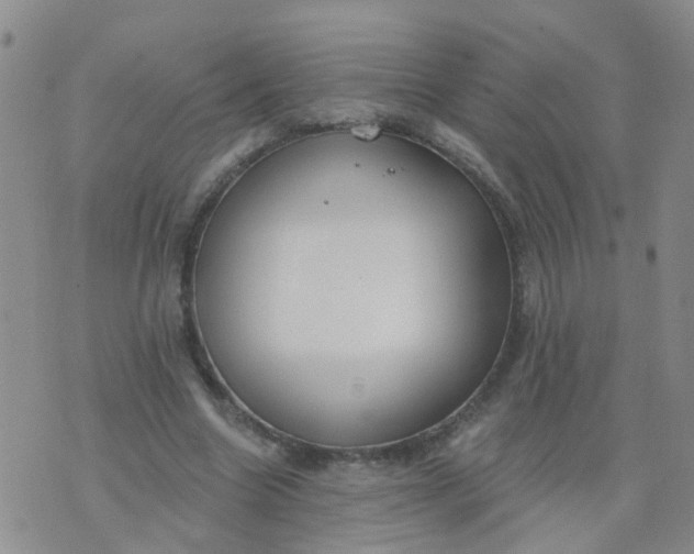 X0000074300538200609081919