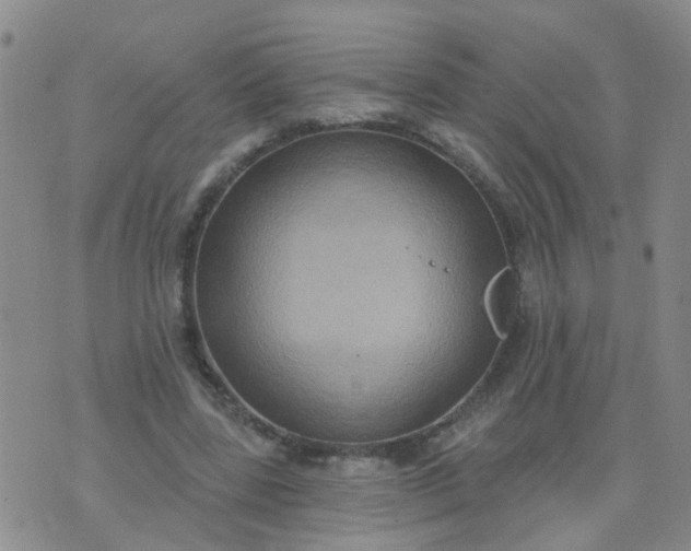 X0000074300539200609081919