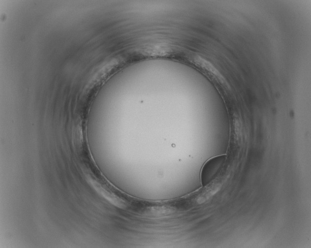 X0000074300541200609081919