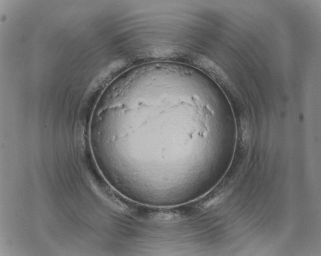 X0000074300542200609081920