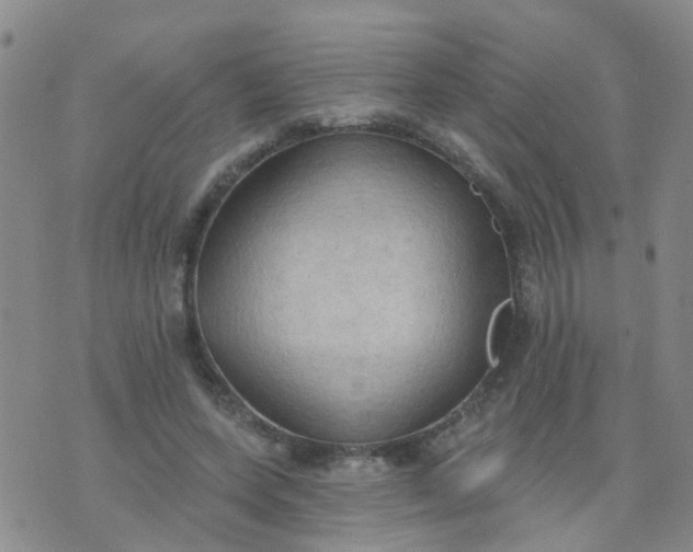 X0000074300543200609081920