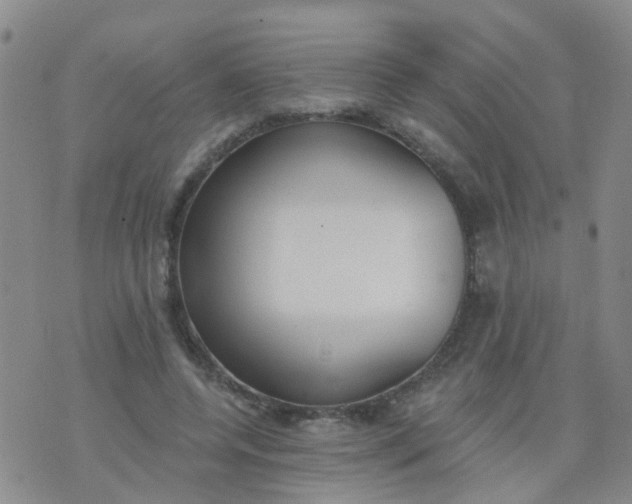 X0000074300544200609081920