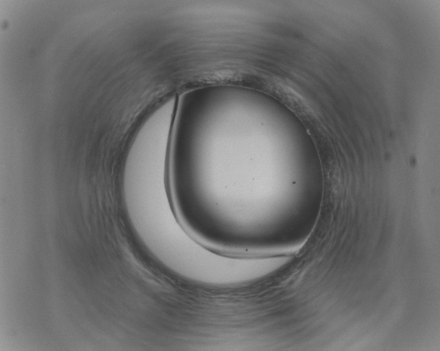 X0000074300546200609081920