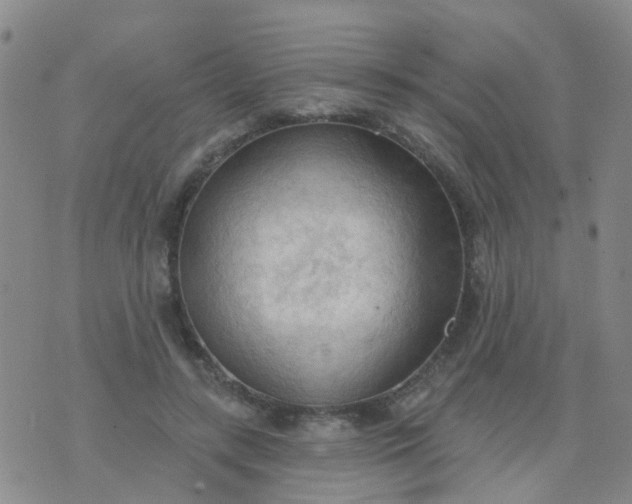 X0000074300547200609081920