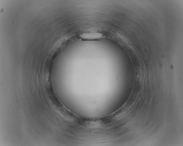 X0000074300548200609081920