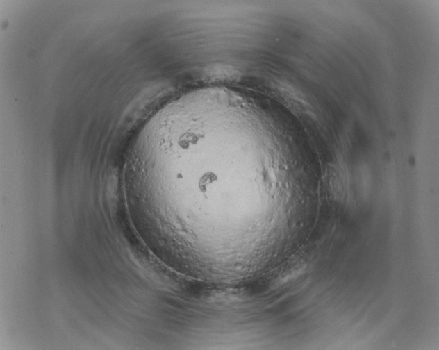 X0000074300550200609081920