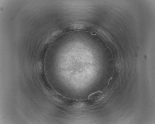 X0000074300551200609081920