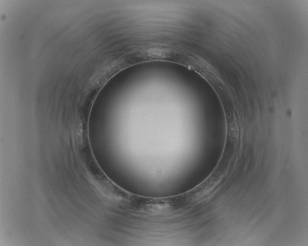 X0000074300552200609081920