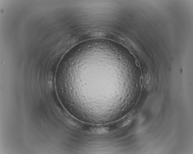 X0000074300553200609081920