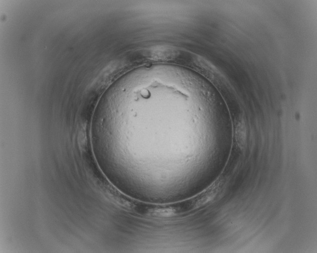 X0000074300554200609081920