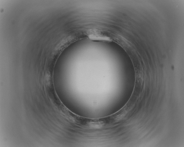 X0000074300556200609081920