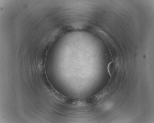 X0000074300559200609081920