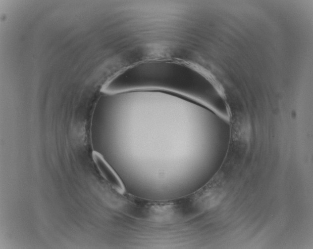 X0000074300560200609081920