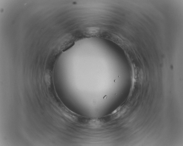 X0000074300562200609081920