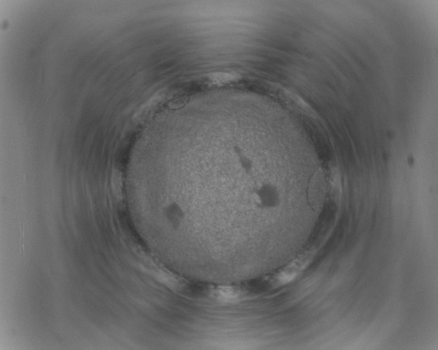 X0000074300565200609081920