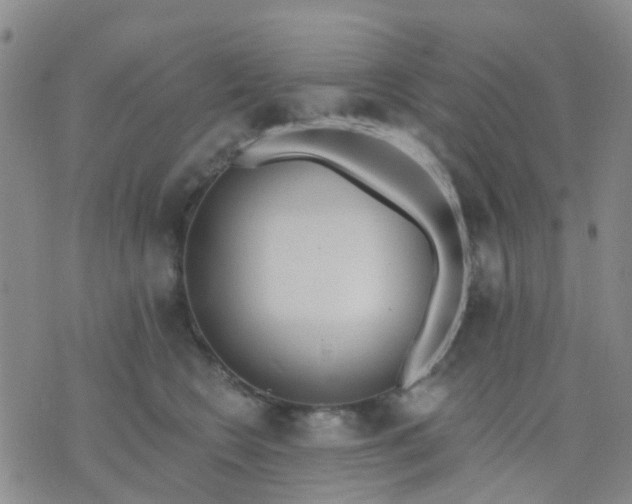 X0000074300566200609081920