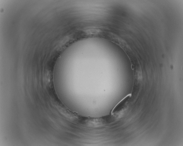 X0000074300567200609081920