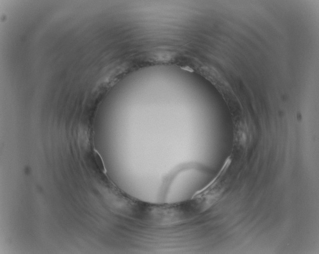 X0000074300568200609081920