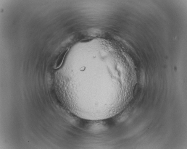 X0000074300569200609081920