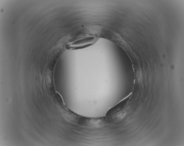 X0000074300570200609081920