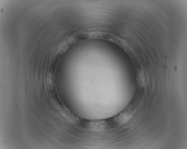 X0000074300571200609081920