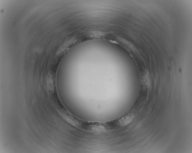 X0000074300572200609081920