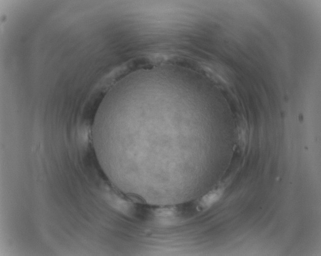 X0000074300574200609081920