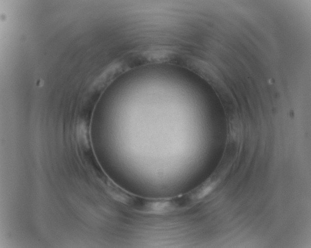 X0000074300575200609081920