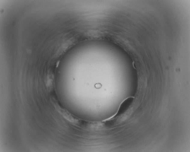 X0000074300576200609081920