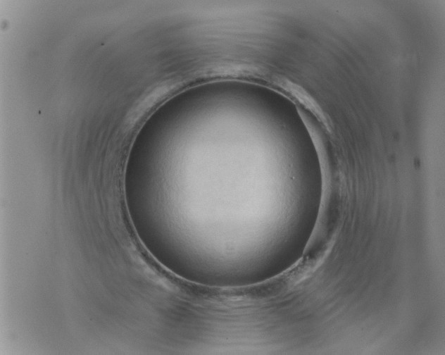 X0000074300577200609081919